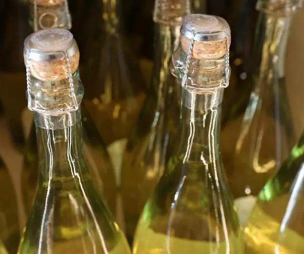 Mojana Bellagio - The D'angelo Family Collection Hotel