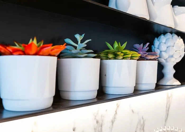 Mojana Bellagio - The D'angelo Family Collection Oliveto Lario