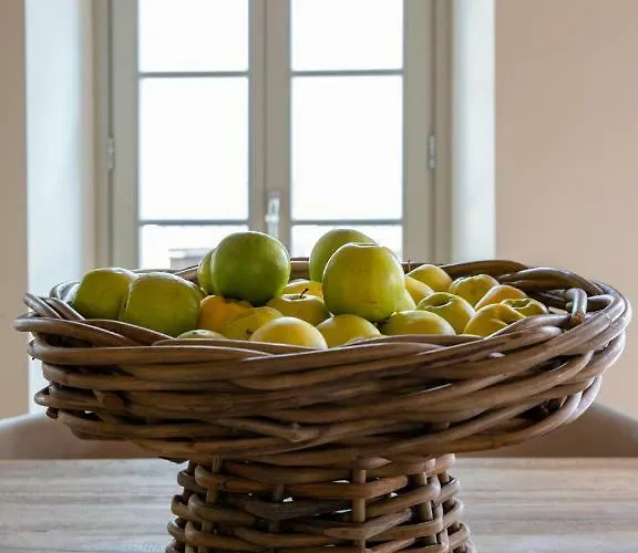 Mojana Bellagio - The D'angelo Family Collection Oliveto Lario