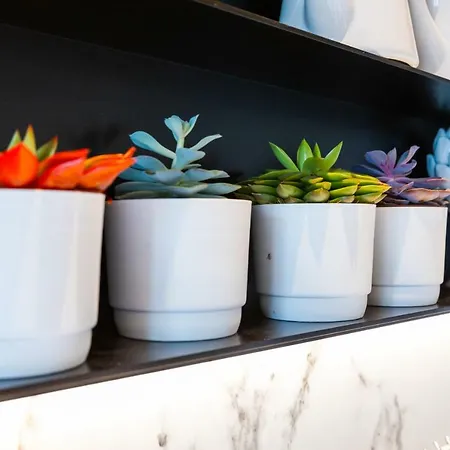 Mojana Bellagio Oliveto Lario