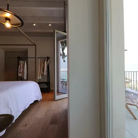 Mojana Bellagio Oliveto Lario